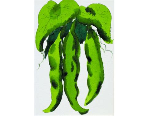 Beans, Green Beans, Watercolor, Pen and Ink, Kitchen Art, 8 X 10 - Etsy