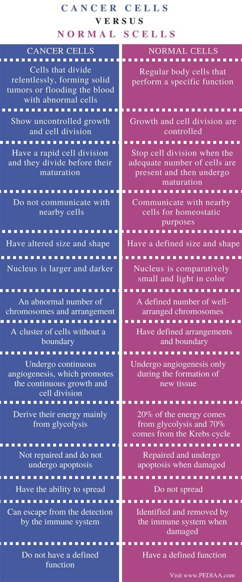 What is the Difference Between Cancer Cells and Normal Cells - Pediaa.Com