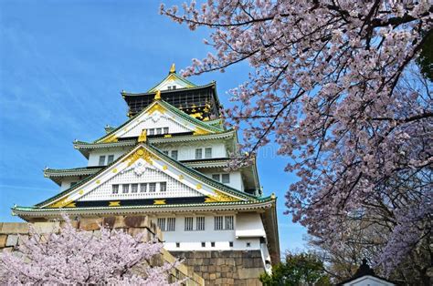 Nice Osaka Castle In Sakura Stock Image Image Of Sightseeing Blossom