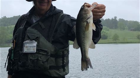 Catching Big Bass In Lake Redman Youtube