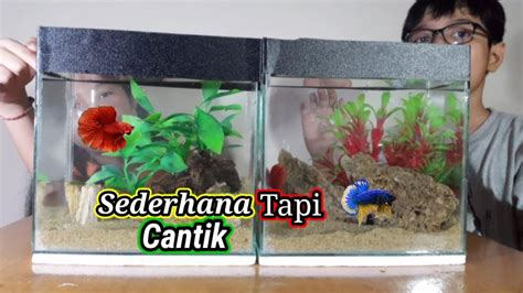 Membuat Aquarium Sederhana Ala Aquascape Untuk Ikan Cupang Youtube