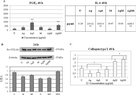 Pge 2 Il 6 Release And Human Collagen Type I Expression And