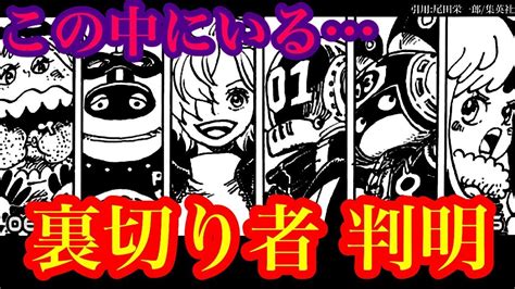 ベガパンクの中にいる裏切り者の正体がヤバい シリュウ参戦やカリブー暗躍の可能性はあるのか【ワンピースネタバレ】【ワンピース考察