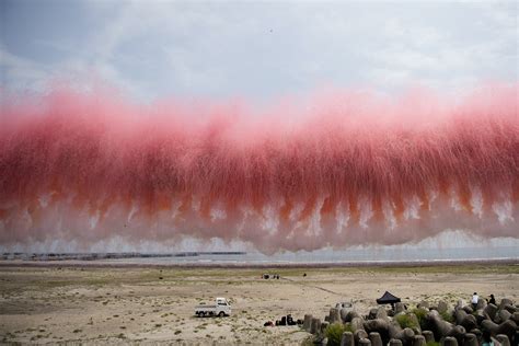 蔡國強が福島・いわきで見せた白天花火《満天の桜が咲く日》。 亡き人々への鎮魂と自然への畏敬の念を胸に｜画像ギャラリー 821｜美術手帖