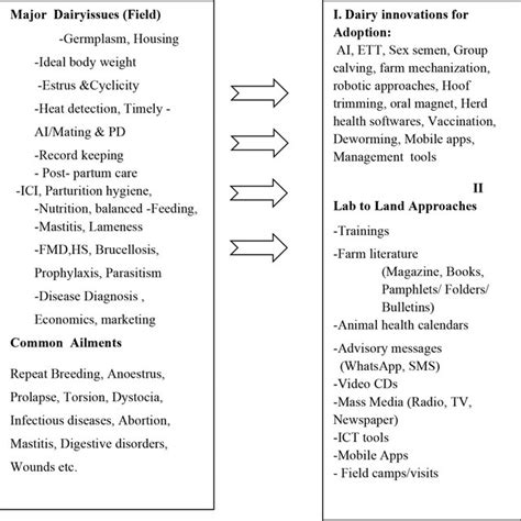 Dairy farming issues, innovations and lab to land approaches ...