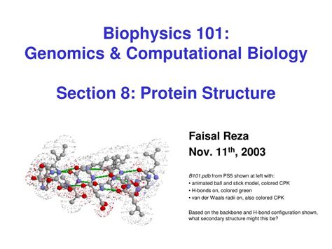 Protein Structure Animation Powerpoint