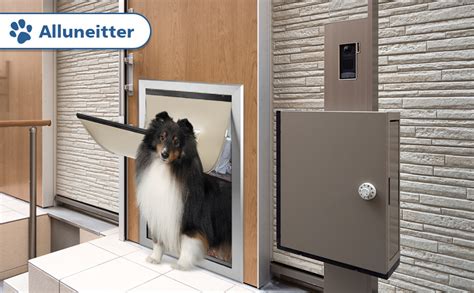 Dog Door Doggie Door With Strong Aluminum Frame Xl Doggy