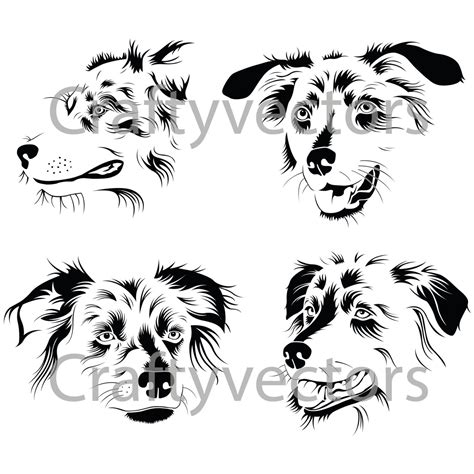 Australian Shepherd Vector at GetDrawings | Free download