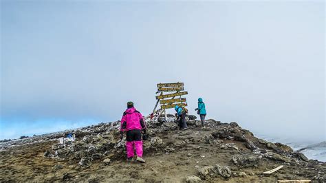 Climbing Mount Kilimanjaro Lemosho Route Aardvark Expeditions