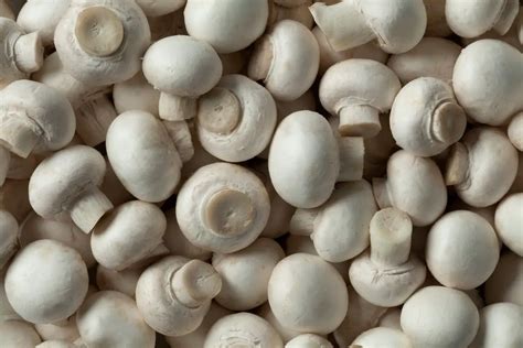 The 6 Best Substitutes For Button Mushrooms Butter And Salt Gatherings