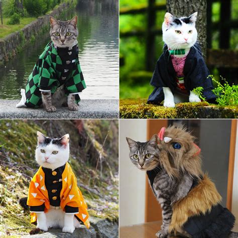 Cats Purr As Demon Slayer Kimetsu No Yaiba Photo Fanpop