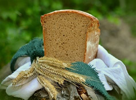 Receta De Pan De Ma Z C Mo Hacer Pan De Ma Z