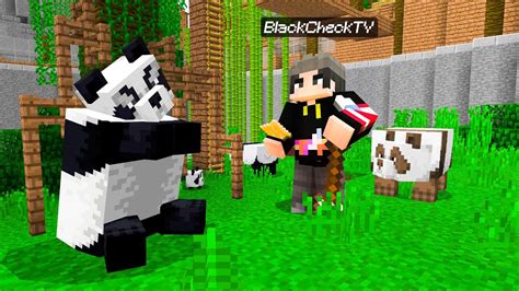 Ich BAUE Ein LUXUS PANDA GEHEGE Youtuber Insel YouTube