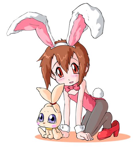 The Big Imageboard Tbib 1girl Animal Ears Brown Hair Bunny Ears