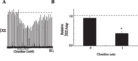 Figure From Noradrenergic Modulation Of Xii Motoneuron Inspiratory