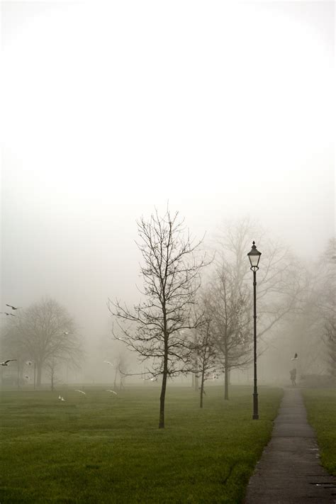 Misty Free Stock Photo - Public Domain Pictures