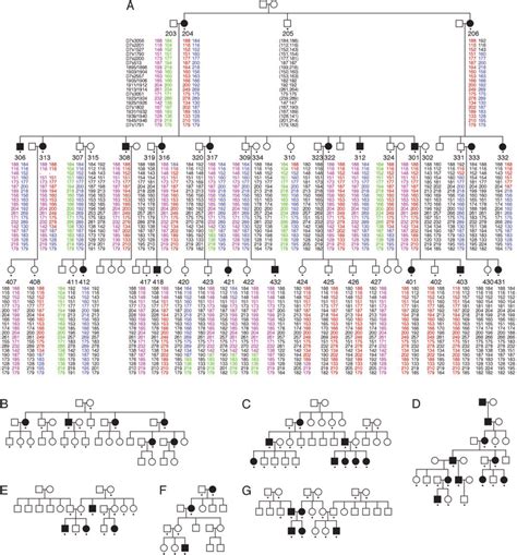 Seven Pedigrees Analyzed By Whole Genome Scanning The Assignment Of