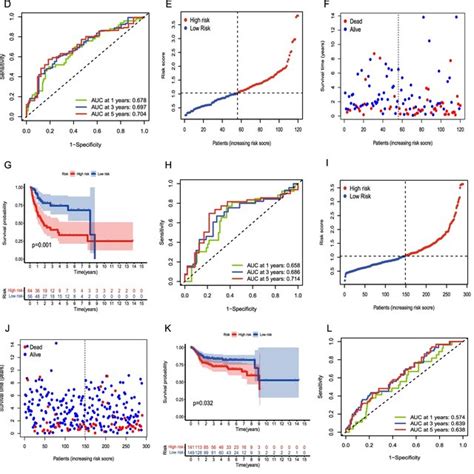 Functional Evaluation And Validation Of The Gene Signature A E I