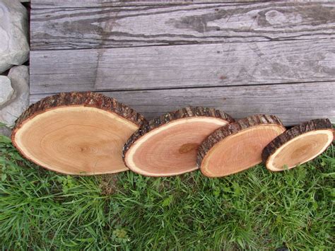 10 Pc 13 to 14 Oak Log Slices Wood Disk by WoodSlicesByWillie