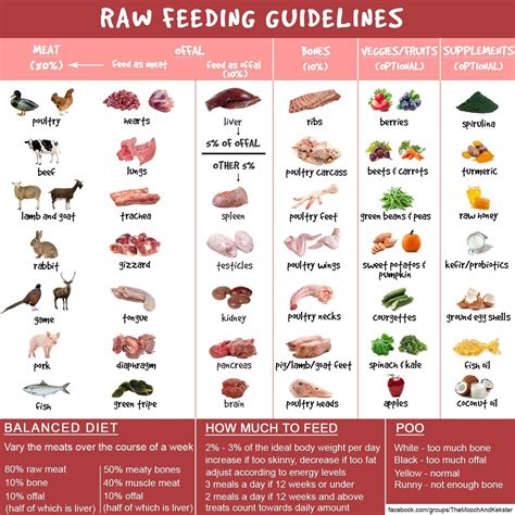 Healthy Cat Food Chart - Cat Mania