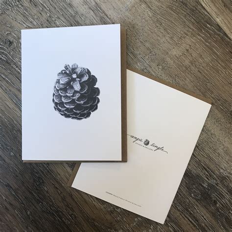 Pine Cone Cards Set Of 4 — Angie Tingle Studio And Gallery