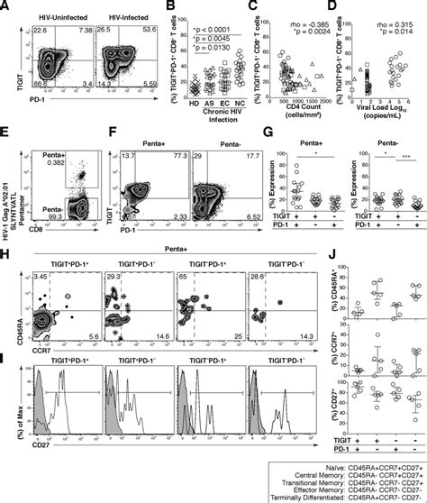 Hiv Gag Specific Cd T Cells Co Express Tigit And Pd And Exhibit A