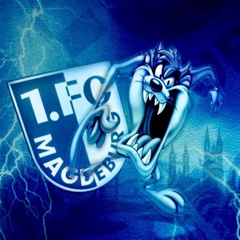 Pin Auf Fc Magdeburg Fc Magdeburg Fc Magdeburg Magdeburg