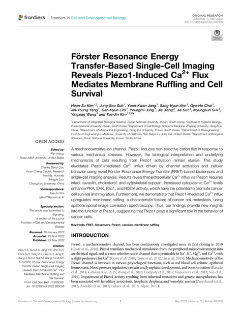 Pdf F Rster Resonance Energy Transfer Based Single Cell Imaging