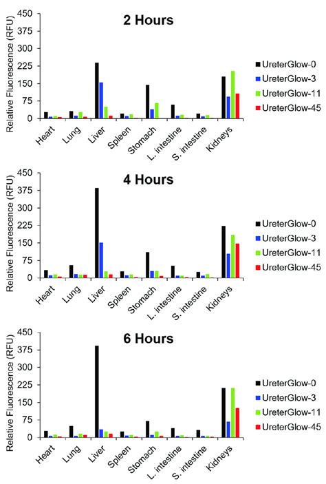 Quantitation Of In Vivo Biodistribution Of Ureterglow Conjugates Mice