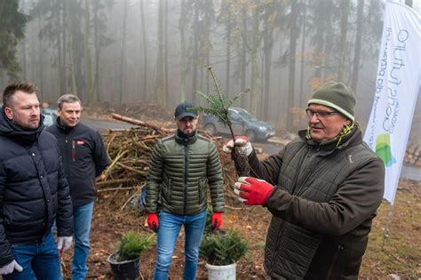 RABEN Nasadzenia W Gminie I Parku Narodowym Fundacja Aeris Futuro