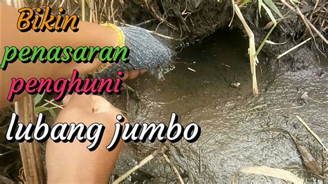 Bikin Penasaran Penghuni Lubang Jumbo Spot Sawah Ll Youtube