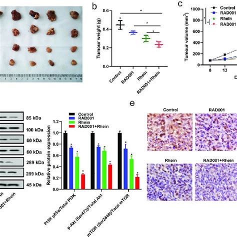 Rhein Suppressed MGC 803 Cell Proliferation And Invasion A Structure