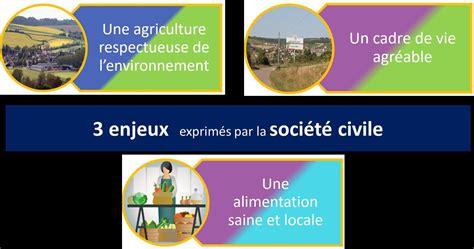 Partie Les Enjeux Agricoles Issuu