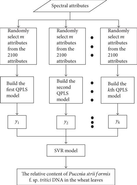 The Algorithm Flowchart For Building The Kqpls Svr Models To Quantify Download Scientific