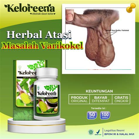 Jual Obat Varikokel Buah Zakar Bengkak Hidrokel Epididimis Testis Besar