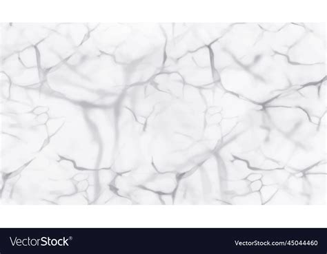 Luxury white gold marble texture background Vector Image