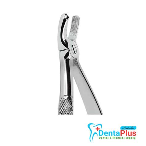 Lower Molar Extraction Forcep Each Dentaplus Australia