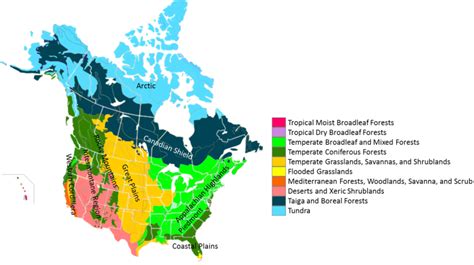 North America World Regional Geography