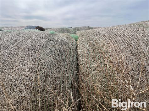 Alfalfa Round Bales 3rd Cutting BigIron Auctions