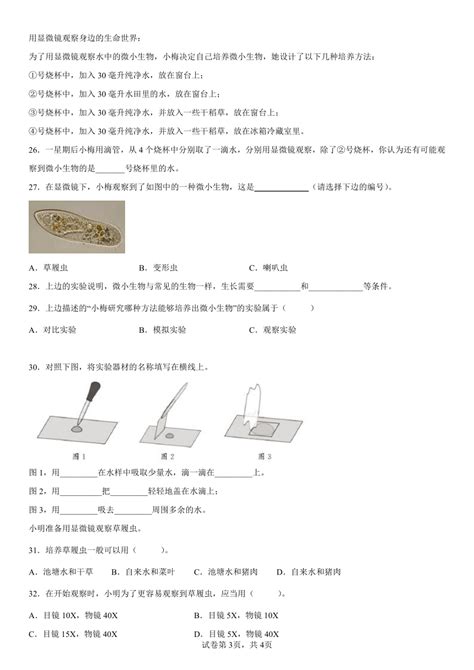 教科版（2017秋） 科学 六年级上册 16 观察水中微小的生物 同步练习（含答案） 21世纪教育网