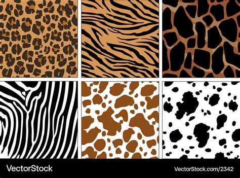 Animal skin prints Royalty Free Vector Image - VectorStock