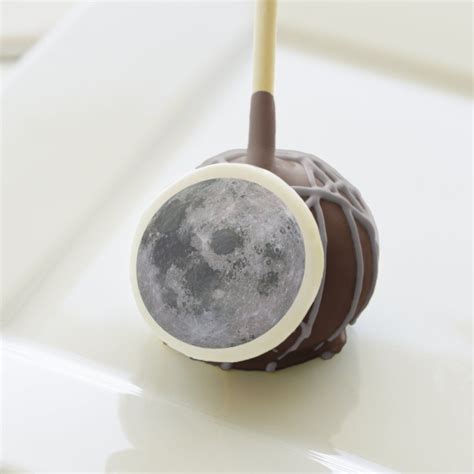 FULL MOON Cake Pops | Zazzle | Savoury cake, Cake pops, Bite size desserts