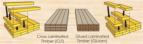 CLT LVL Glulam Wat Zijn Dat Voor Materialen Centrum Hout