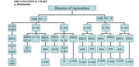 Organizational chart – DEPARTMENT OF AGRICULTURE