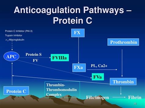 Ppt Introduction To Special Coagulation Powerpoint Presentation Free