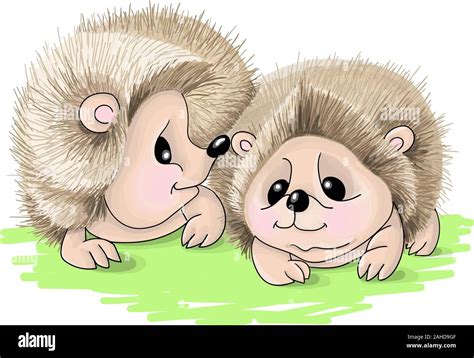 Vector Illustrations Caracters Of Two Cute Hedgehog Lovers Stock Vector Image And Art Alamy