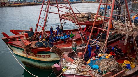 Überfischung Illegalen Fischfang auf der Spur