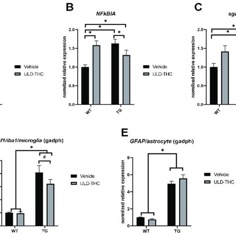 Study Design The Xfad Tg Mice Model At Different Ages And Their Wt