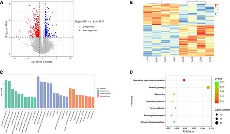 Frontiers Integration Of Atac Seq And Rna Seq Analysis Identifies Key