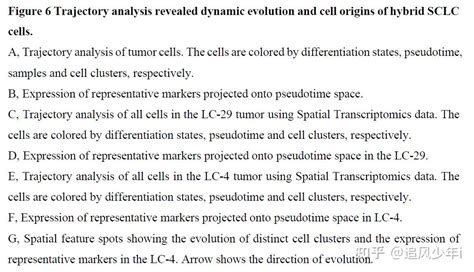 10x单细胞空间联合分析人类小细胞肺癌肿瘤生态系统和空间结构 知乎